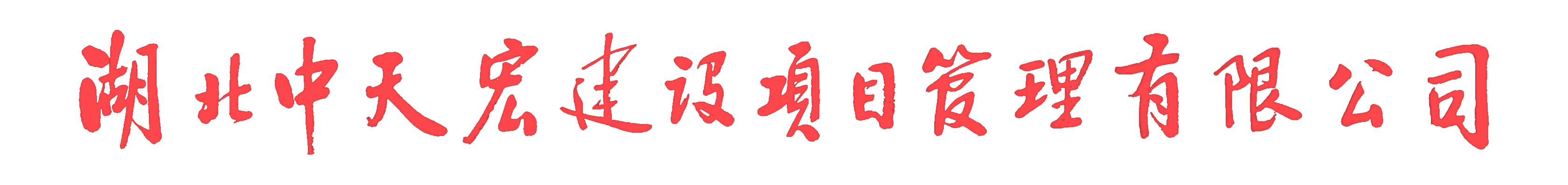 湖北中天宏建设项目管理有限公司